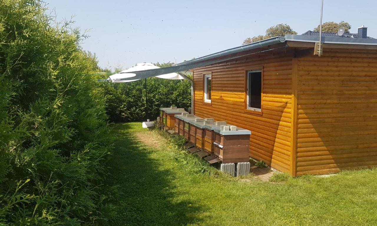 Ferienhaus Zum Imker Velten Buitenkant foto
